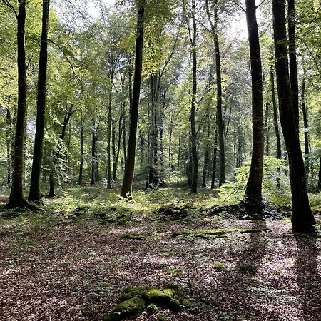 Le Courtil Cerisy-la-Foret Exterior foto